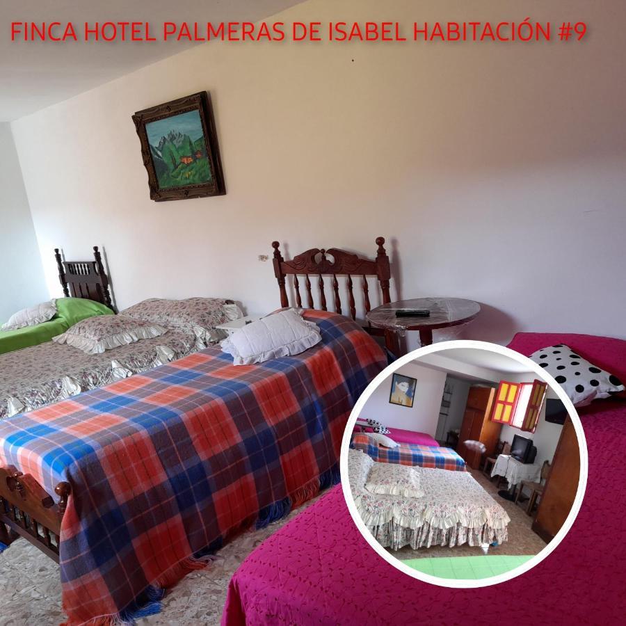 Finca Hotel Palmeras De Isabel 杰里科 客房 照片